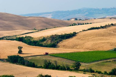 Toskana manzarasının manzarası