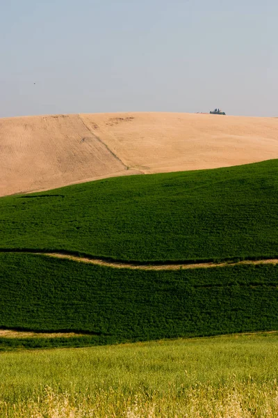 Malerischer Blick Auf Die Toskanische Landschaft — Stockfoto