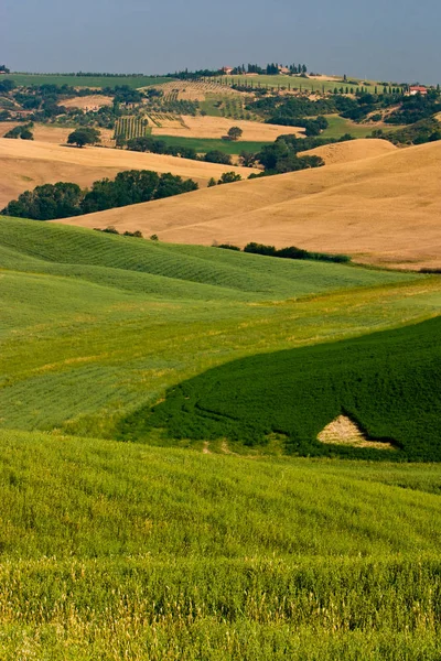 Vista Panorâmica Paisagem Toscana — Fotografia de Stock