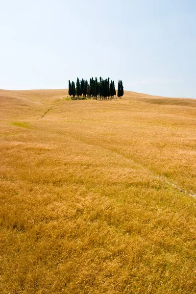 Malerischer Blick Auf Die Toskanische Landschaft — Stockfoto