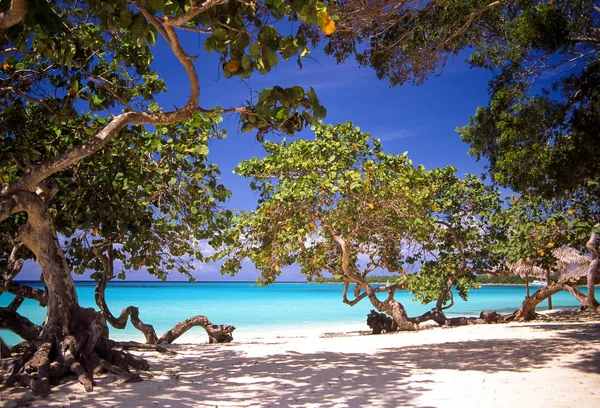 deniz in doğal görünümü, seçici odak