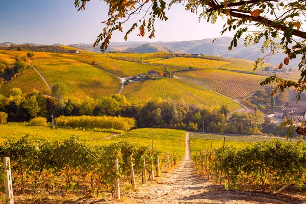 Vista Panorâmica Langhe Outono Piemonte Itália — Fotografia de Stock