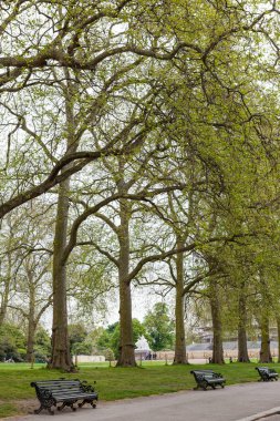 Hyde Park, Londra manzaralı
