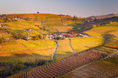 Sonbaharda Langhe manzara, Piedmont, İtalya