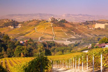 Sonbaharda Langhe manzara, Piedmont, İtalya