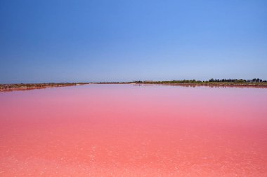 Saline of Aigues Mortes, Fransa