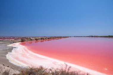Saline of Aigues Mortes, Fransa