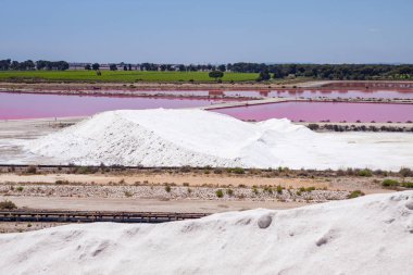Saline of Aigues Mortes, Fransa