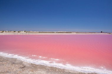 Saline of Aigues Mortes, Fransa