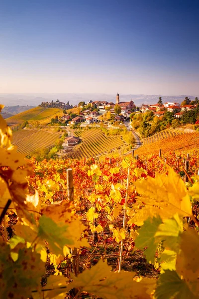 Otoño Treiso Langhe Piamonte Italia — Foto de Stock