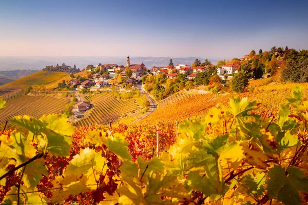 Outono Treiso Langhe Piemonte Italia — Fotografia de Stock