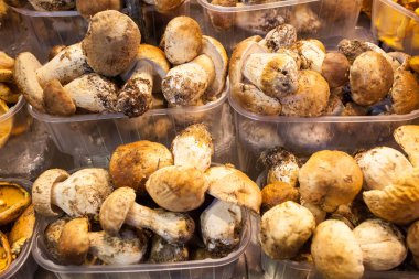 Satılık mantarlar, Barselona, İspanya