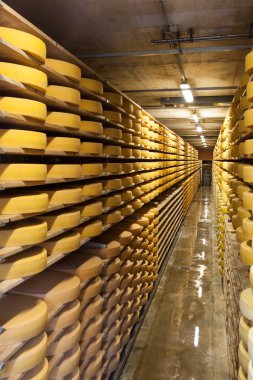 Peynir yetiştirme deposu, İsviçre