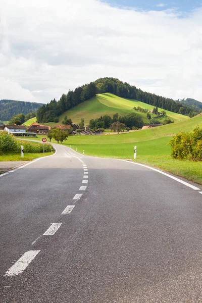 Väg Bland Schweiziska Betesmarker — Stockfoto