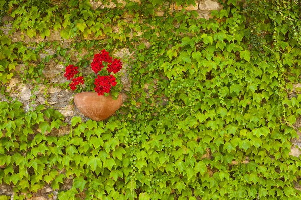 Scenic View Montemarcello Liguria Italy — Stock Photo, Image