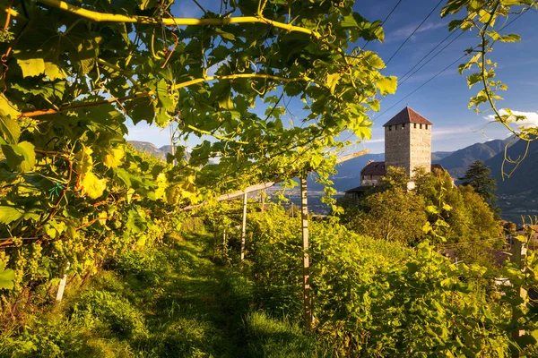 Blick Auf Schloss Tirol Südtirol Bozen — Stockfoto