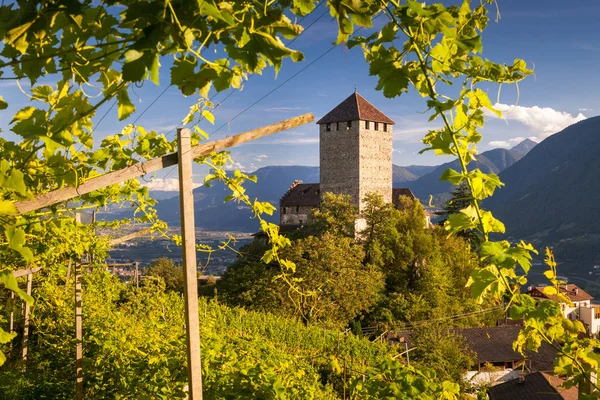 Vista Panorâmica Castelo Tirolo Tirol Sul Bolzano — Fotografia de Stock