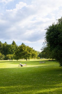 güzel doğa doğal görünümü 