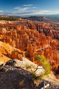 Bryce Canyon doğal görünümünü