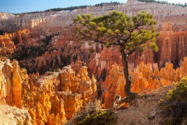 Bryce Canyon doğal görünümünü