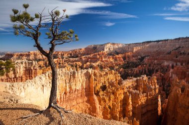 Bryce Canyon doğal görünümünü