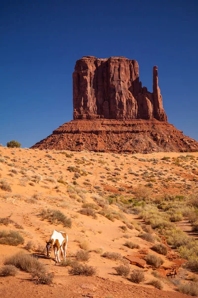 scenic view of Horse and Monument Valley, USA