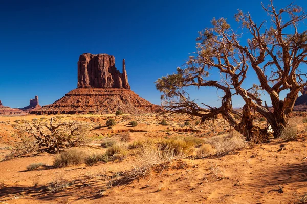 Vista Panorâmica Monument Valley Eua — Fotografia de Stock