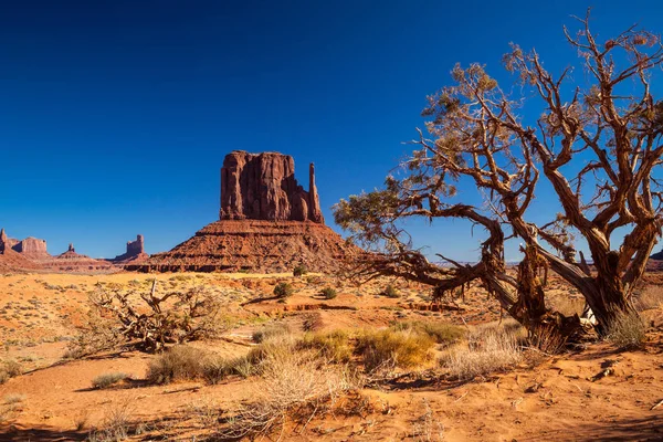 Vista Panorâmica Monument Valley Eua — Fotografia de Stock