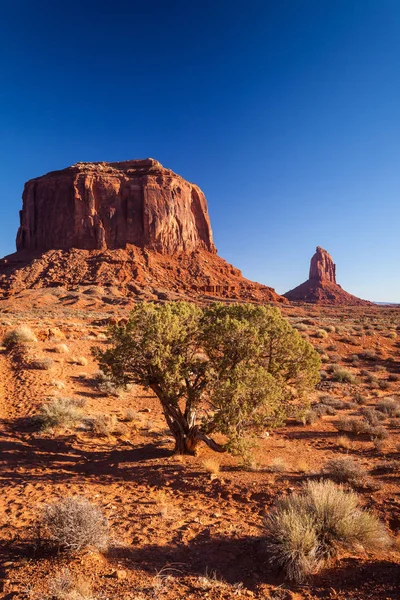 Vista Panorâmica Monument Valley Eua — Fotografia de Stock