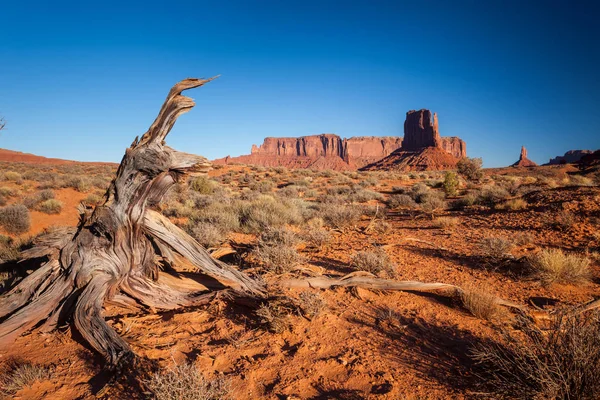 Vue Panoramique Monument Valley États Unis — Photo