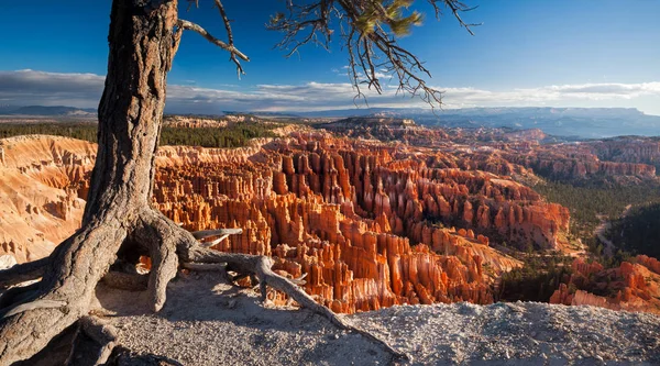 Bryce Canyon doğal görünümünü