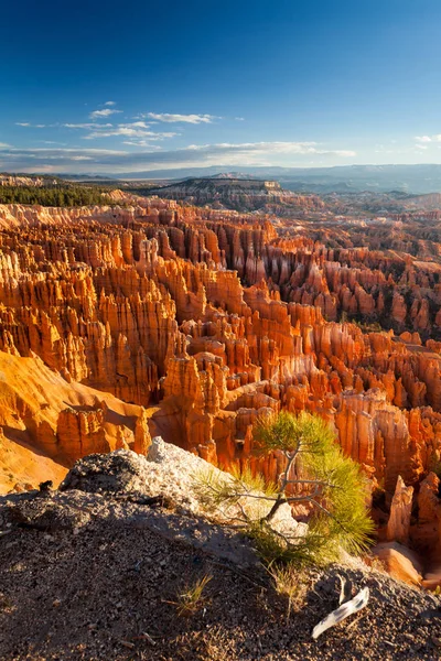 Scenic View Bryce Canyon — Stock Photo, Image