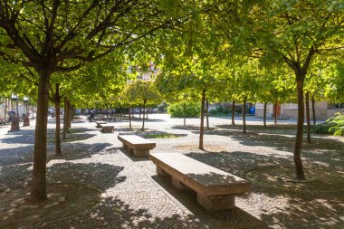 Berlin 'deki Yeşil Yaz Parkı 