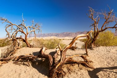 ruige kustlijn van Australië