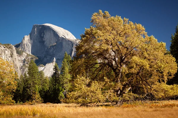 Yosemite Valley Yosemite Kalifornien Usa — Stockfoto