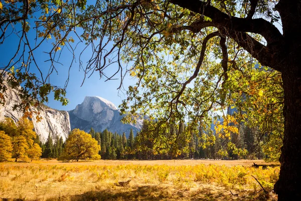 Yosemite Vadisi Yosemite Kaliforniya Amerika Birleşik Devletleri — Stok fotoğraf