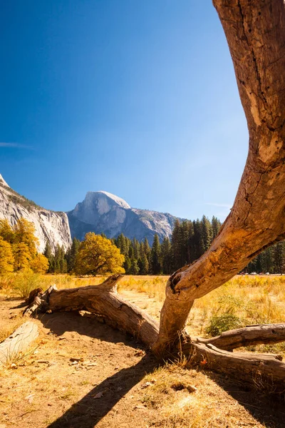 Долина Yosemite Yosemite Каліфорнія Сша — стокове фото