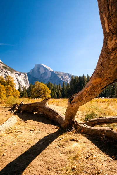 Yosemite Valley Yosemite Kalifornien Usa — Stockfoto