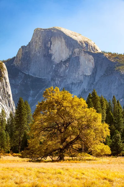Yosemite Valley Yosemite Califórnia Eua — Fotografia de Stock