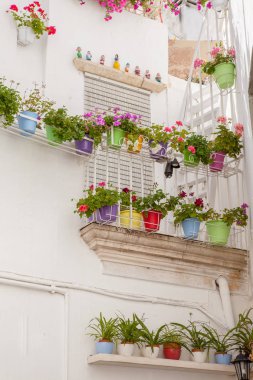 Balkonlarında çiçekler olan renkli vazolar.