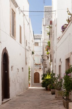 evlerin doğal görünümü, seçici odak