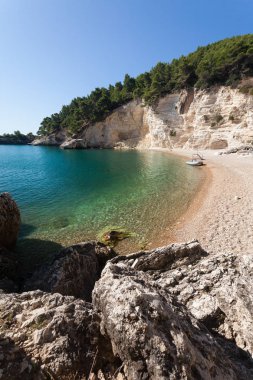 deniz in doğal görünümü, seçici odak