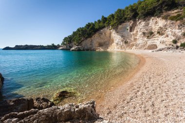 deniz in doğal görünümü, seçici odak