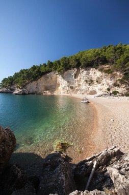 deniz in doğal görünümü, seçici odak