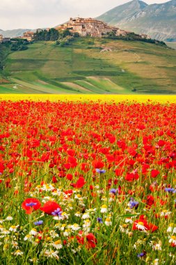 Güzel manzaranın manzarası