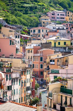 deniz in doğal görünümü, seçici odak