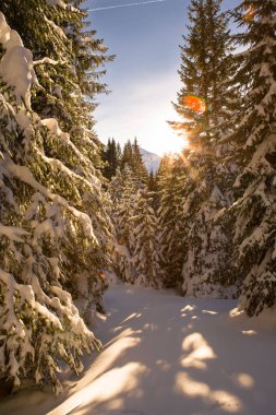güzel doğa doğal görünümü 