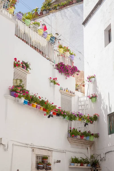 Jarrones Colores Con Flores Los Balcones — Foto de Stock