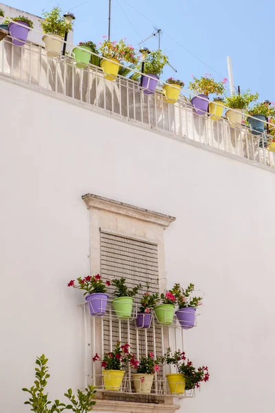 Jarrones Colores Con Flores Los Balcones — Foto de Stock