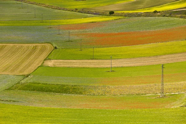 Festői Kilátás Gyönyörű Táj — Stock Fotó